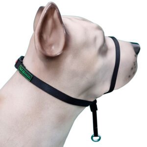 Coleira Cabresto K-9 Spirit Para Cães