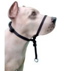 Coleira Cabresto K-9 Spirit Para Cães - Image 9