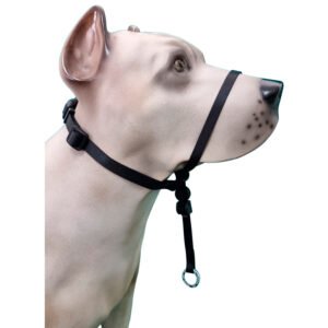 Coleira Cabresto K-9 Spirit Para Cães