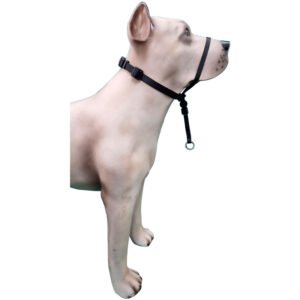 Coleira Cabresto K-9 Spirit Para Cães