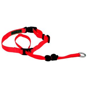 Coleira Cabresto K-9 Spirit Para Cães