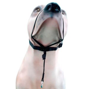 Coleira Cabresto K-9 Spirit Para Cães