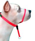 Coleira Cabresto K-9 Spirit Para Cães - Image 5