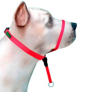 Coleira Cabresto K-9 Spirit Para Cães