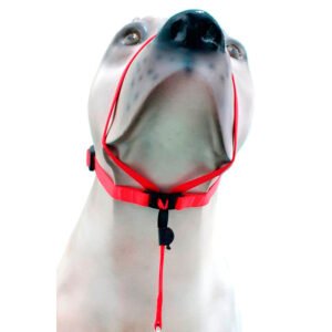 Coleira Cabresto K-9 Spirit Para Cães