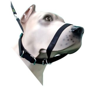 K-9 Collar Spirit Para Cães