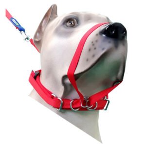 K-9 Collar Spirit Para Cães