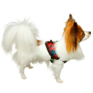 Peitoral Tático Extreme K-9 Spirit Para Cães