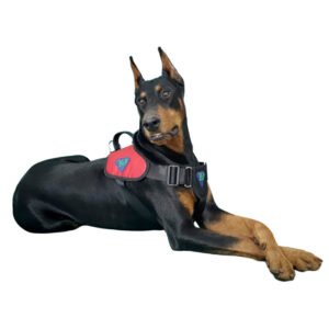 Peitoral Tático Extreme K-9 Spirit Para Cães
