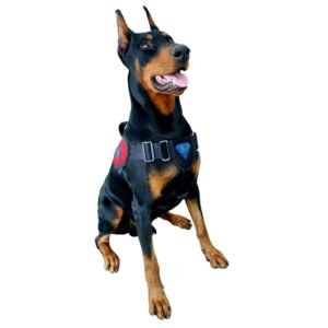 Peitoral Tático Extreme K-9 Spirit Para Cães