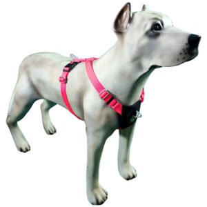 Peitoral Z Prime com Regulagem K9 Spirit