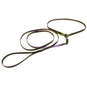 Guia Unificada Premium Inox K-9 Spirit Para Cães (Fita 10mm)