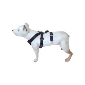 Peitoral Cinto de Segurança K-9 Spirit Para Cães