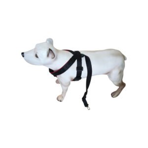 Peitoral Cinto de Segurança K-9 Spirit Para Cães