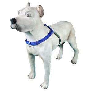 Peitoral de Treinamento K-9 Spirit Para Cães