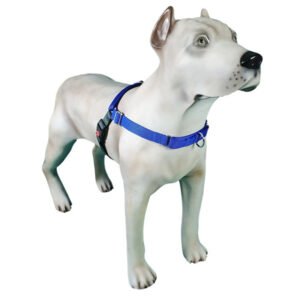 Peitoral de Treinamento K-9 Spirit Para Cães