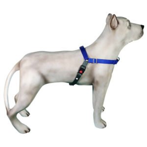 Peitoral de Treinamento K-9 Spirit Para Cães