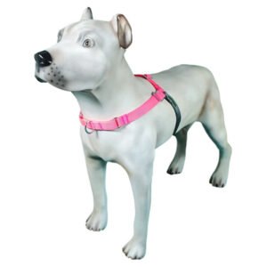 Peitoral de Treinamento K-9 Spirit Para Cães