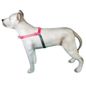 Peitoral de Treinamento K-9 Spirit Para Cães