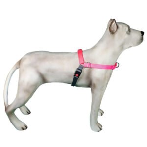 Peitoral de Treinamento K-9 Spirit Para Cães