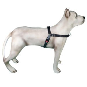 Peitoral de Treinamento K-9 Spirit Para Cães