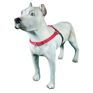 Peitoral de Treinamento K-9 Spirit Para Cães