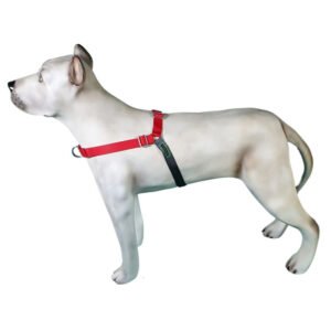 Peitoral de Treinamento K-9 Spirit Para Cães