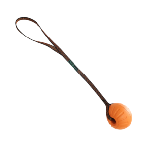 Brinquedo Bola com Alça (P/ 70mm) K-9 Spirit