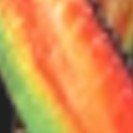 Guia Unificada Premium Inox K-9 Spirit Para Cães (Fita 10mm) - Fênix