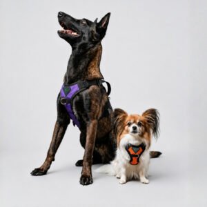 Peitoral Confort LX K-9 Spirit Para Cães
