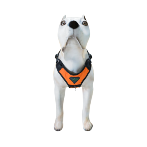 Peitoral Confort LX K-9 Spirit Para Cães