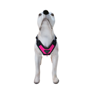 Peitoral Confort LX K-9 Spirit Para Cães