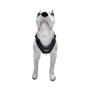 Peitoral Confort LX K-9 Spirit Para Cães
