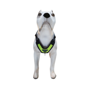 Peitoral Confort LX K-9 Spirit Para Cães