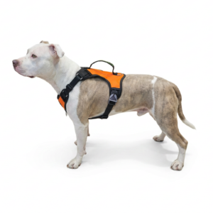 Peitoral Confort LX K-9 Spirit Para Cães